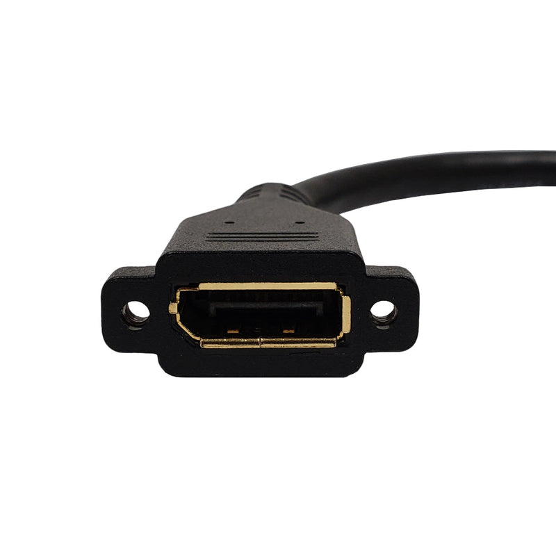 6 inch DisplayPort to Female Adapter with Screw Holes