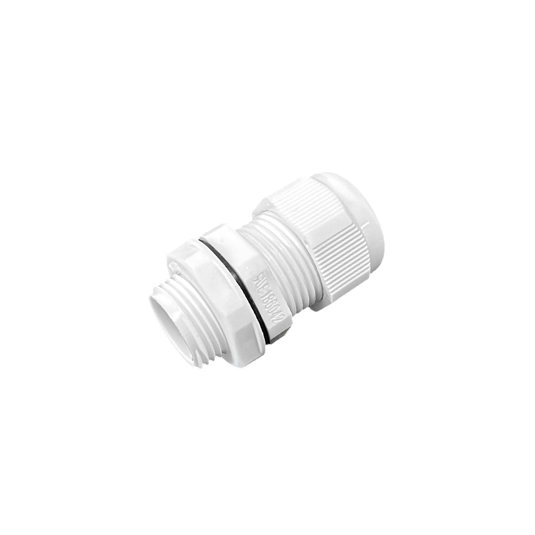 Color_White
